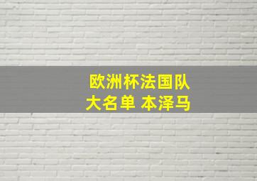 欧洲杯法国队大名单 本泽马